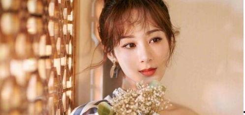 杨紫家世爆料视频播放大全,独家视频播放大全深度解析  第3张